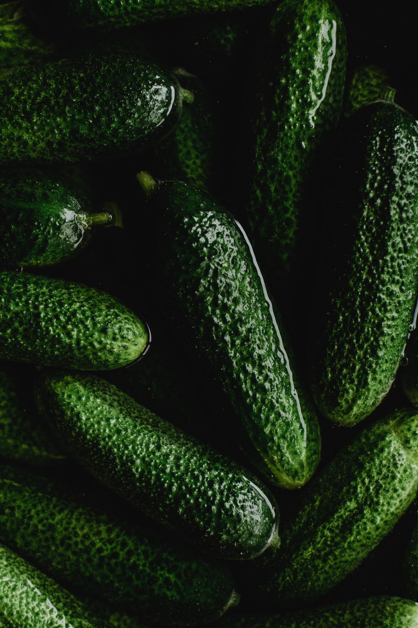 Fresh Cucumbers