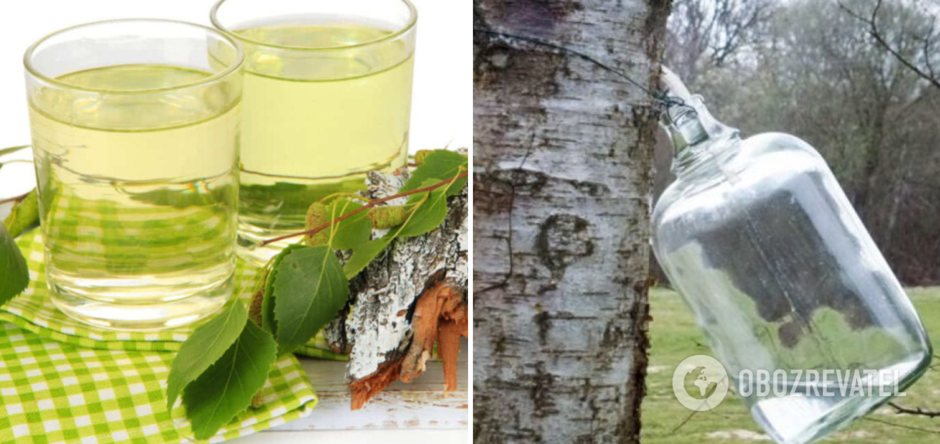 Birch juice without sterilization