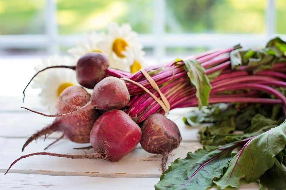 Raw beets for making juice
