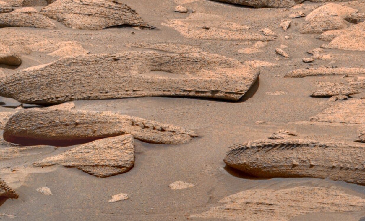 Rocks on Mars with bone-like structures