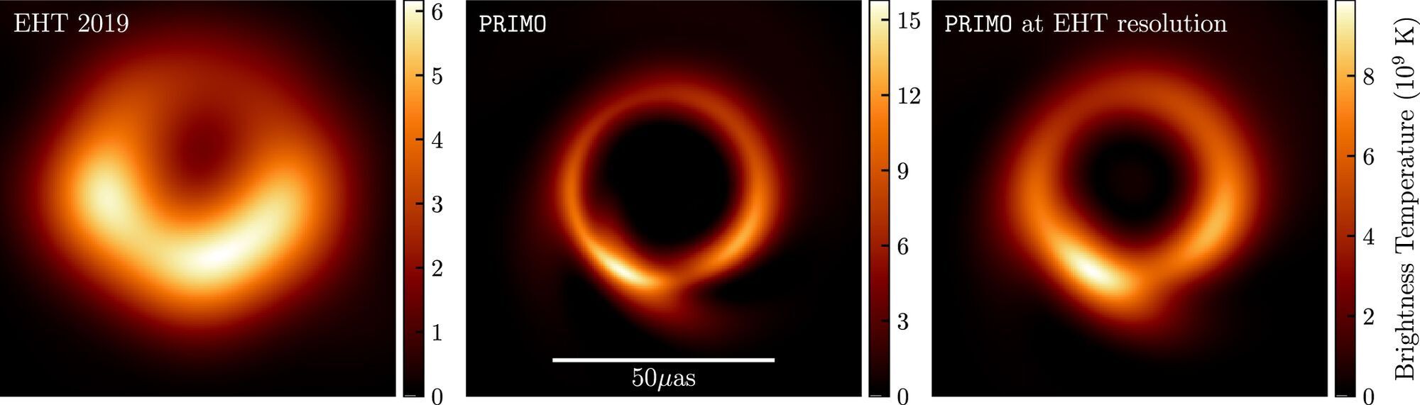 M87 black hole after PRIMO AI treatment.