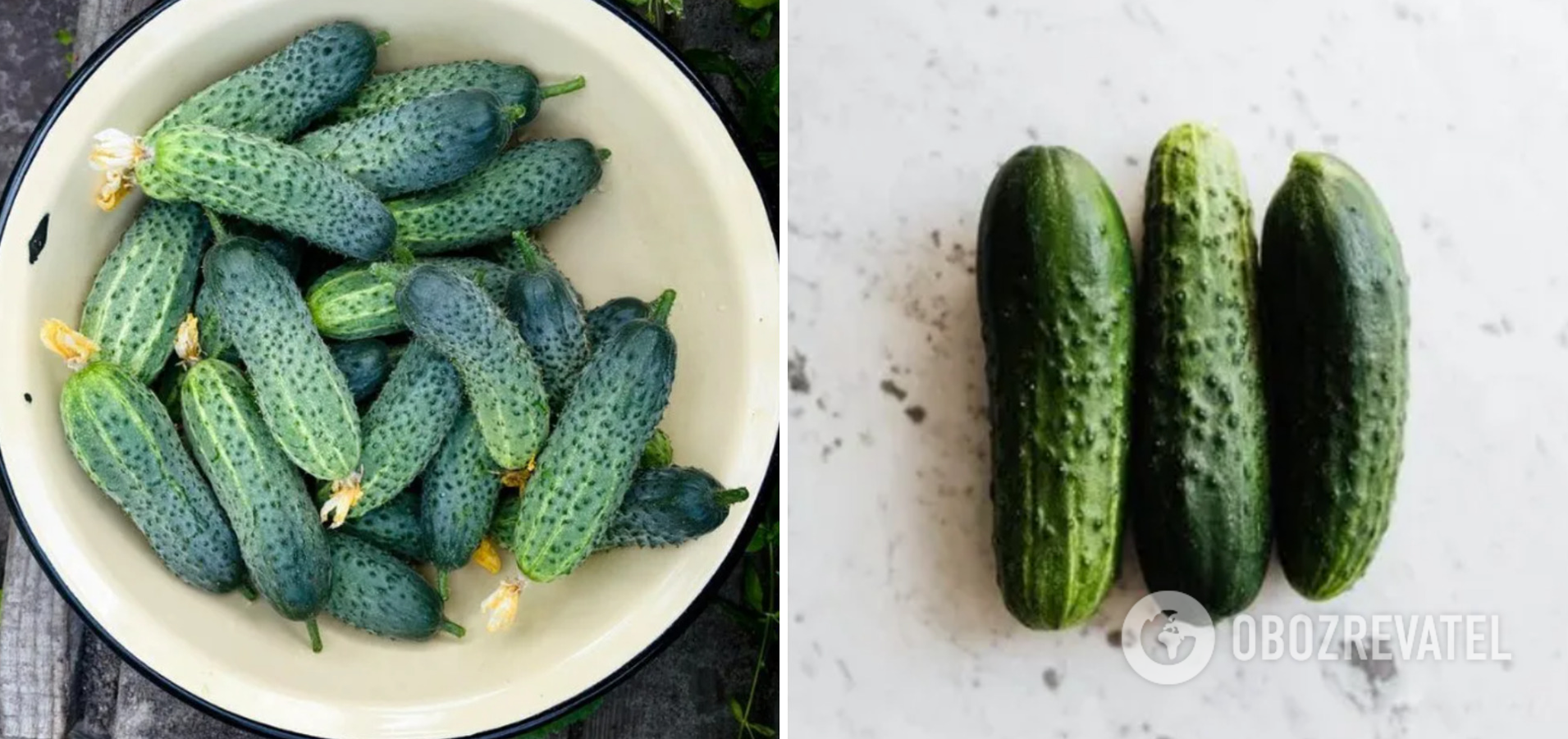 How to pickle cucumbers quickly and deliciously