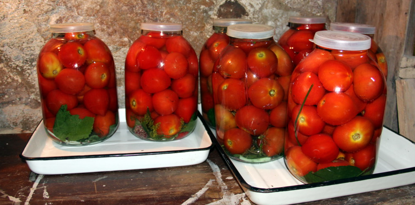 A recipe for quenched tomatoes in three days