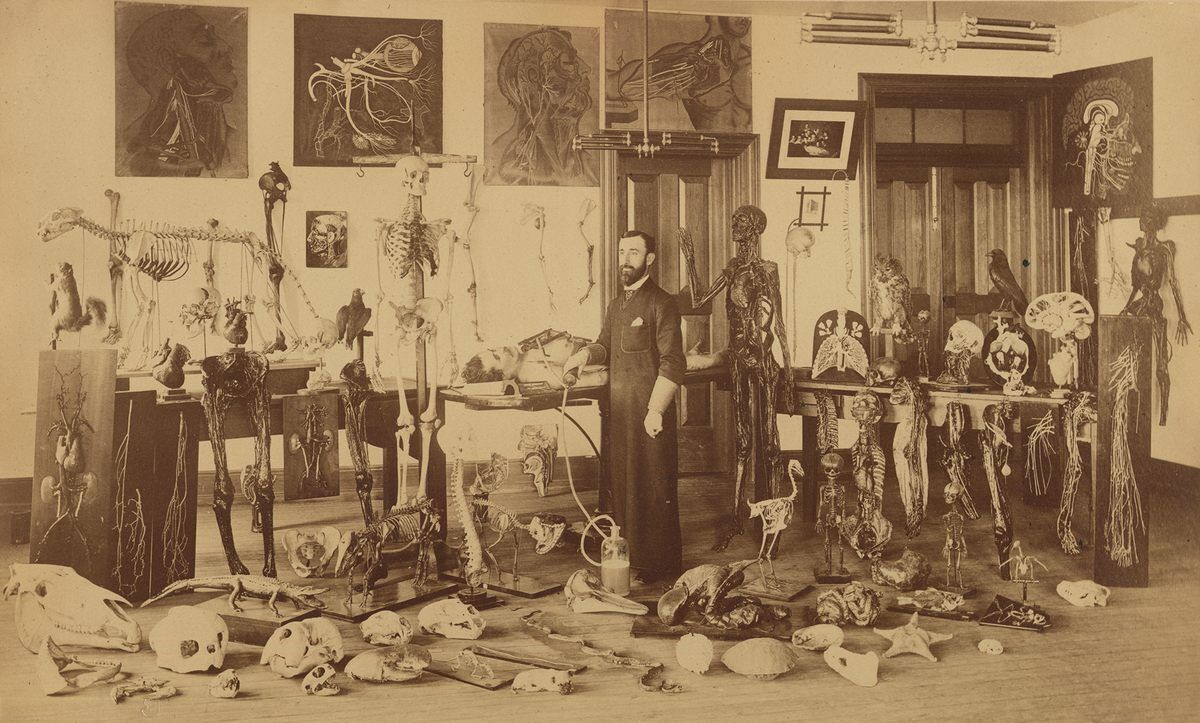Weaver in his studio surrounded by his work.