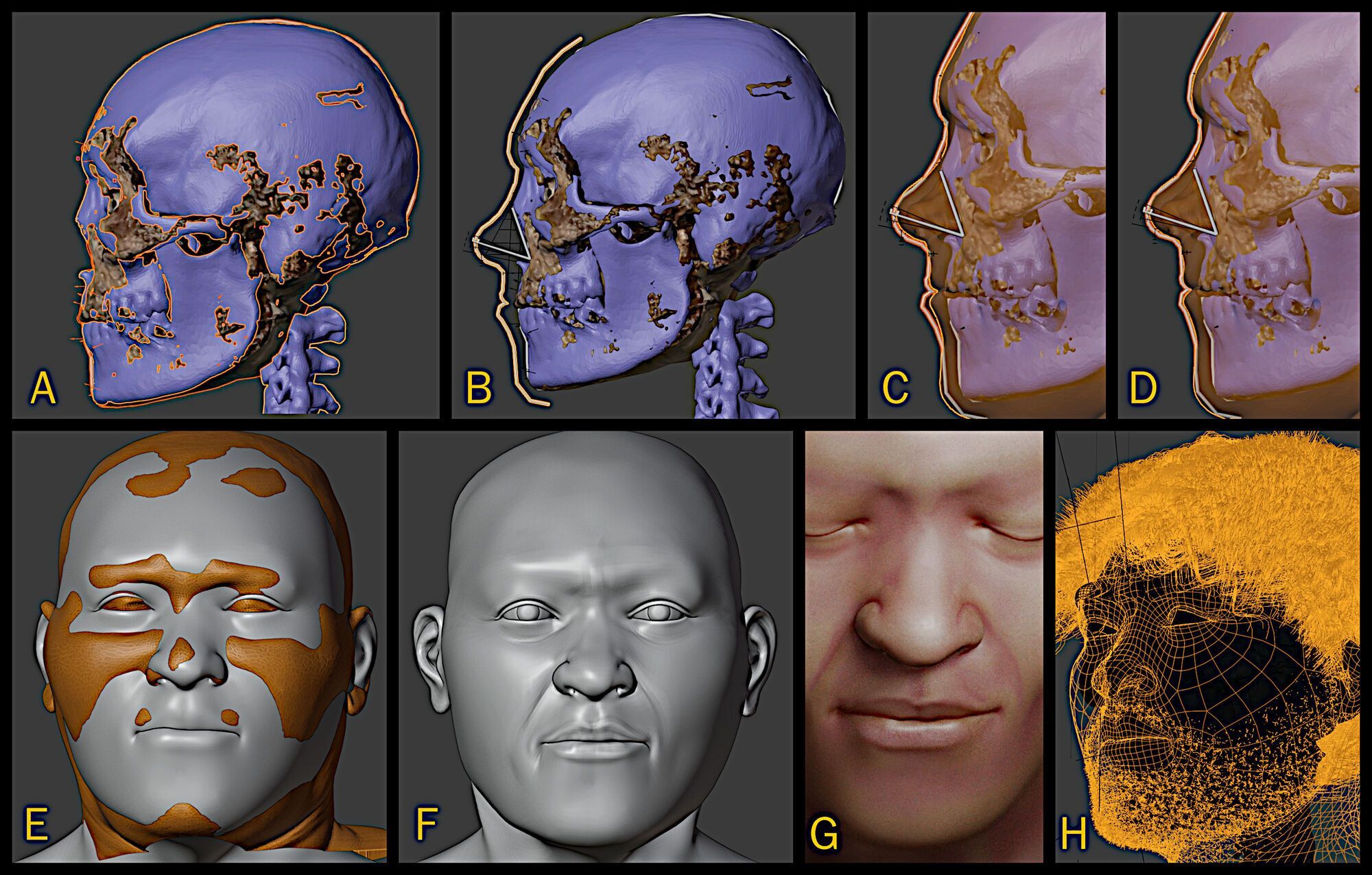 The process of creating the face of Homo sapiens, who lived 30 thousand years ago.