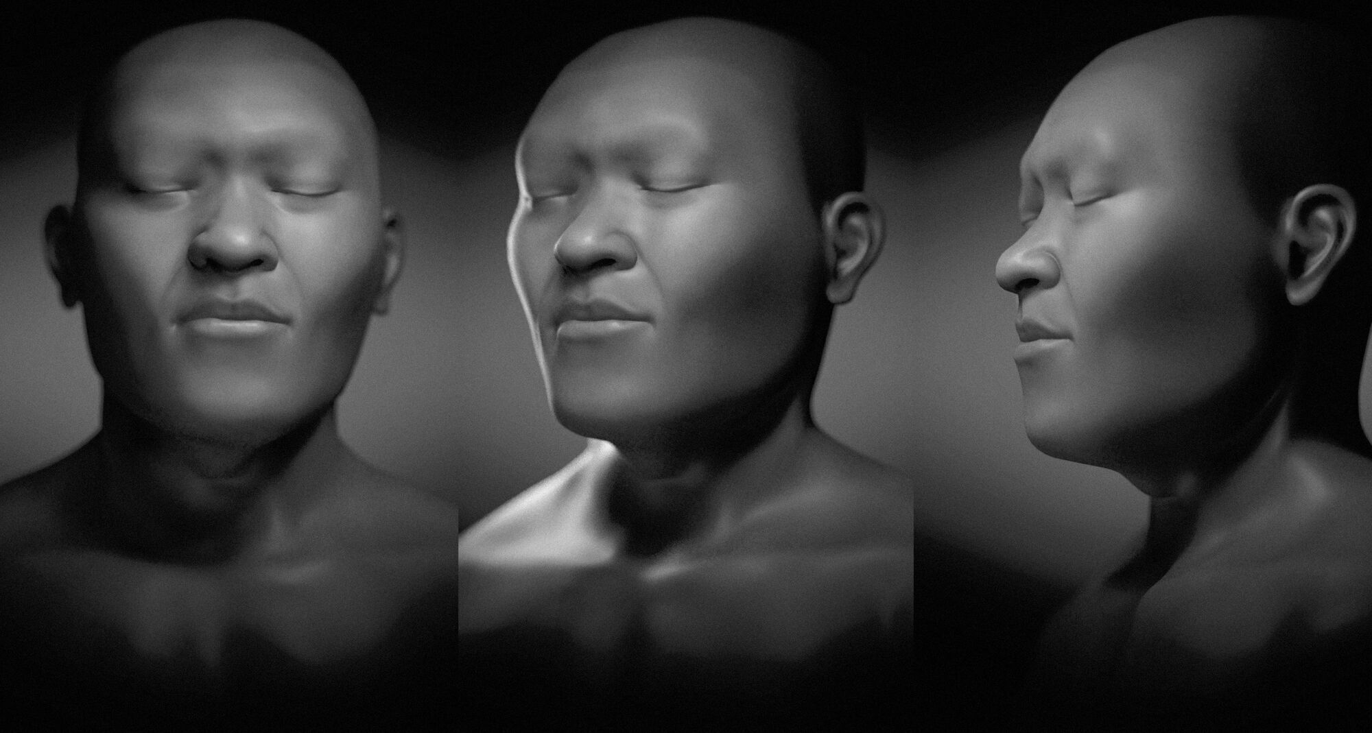 3D model of an ancient human face.