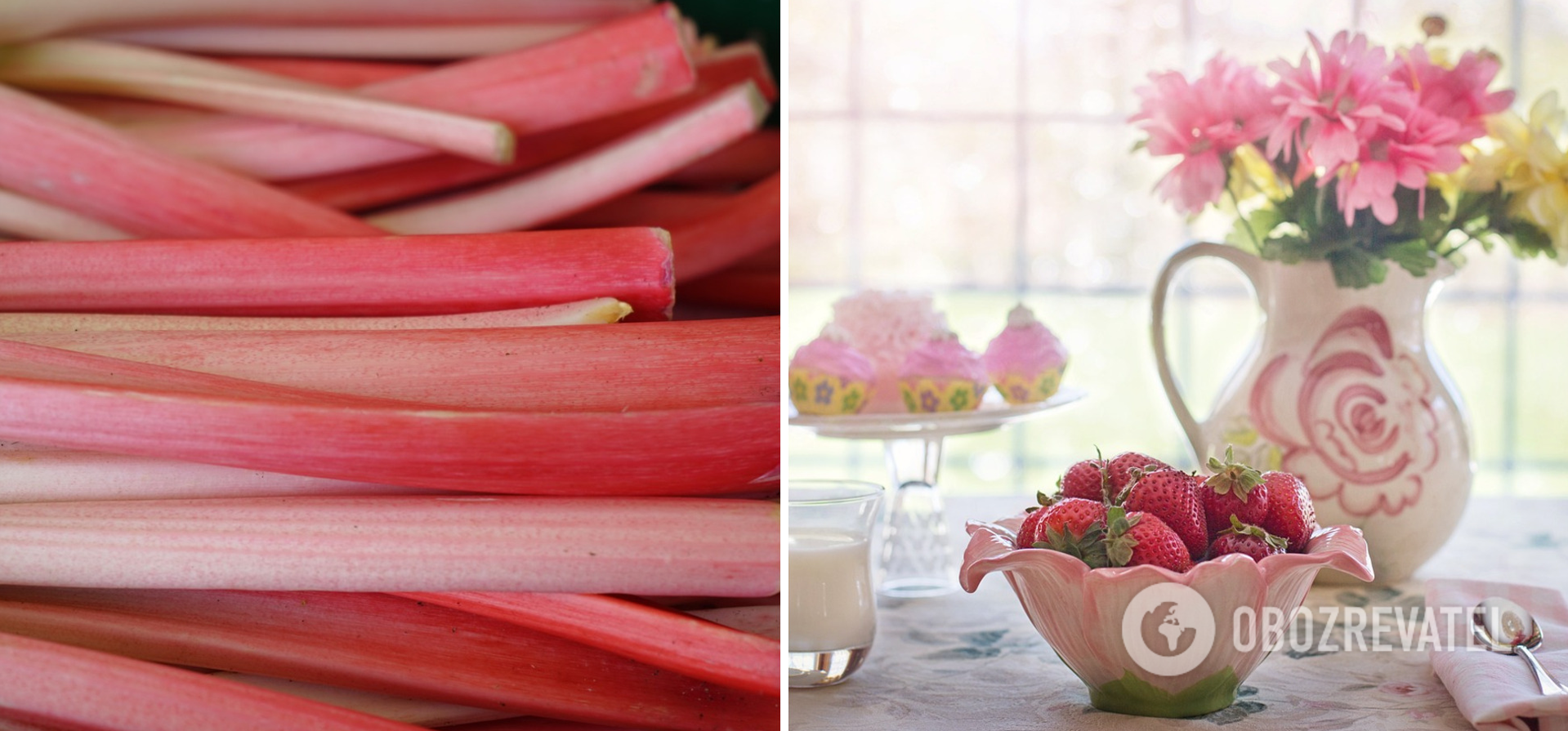 Rhubarb and strawberries for jam