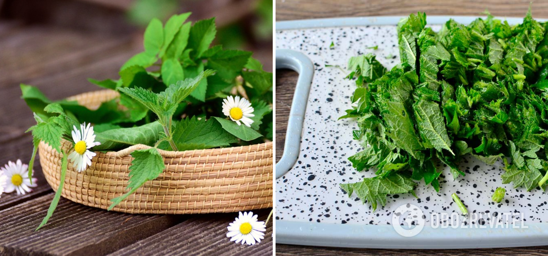 What to make from nettles
