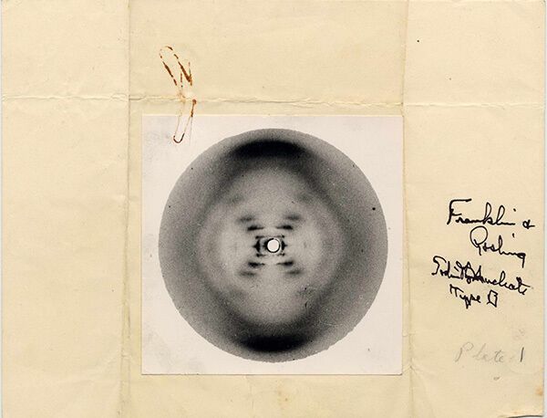 Photo 51, the first-ever image of DNA
