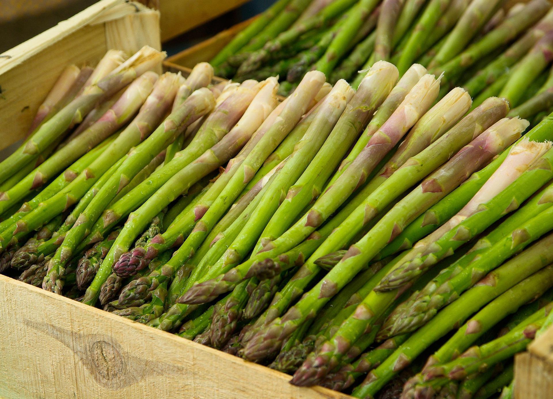 Delicious and healthy asparagus