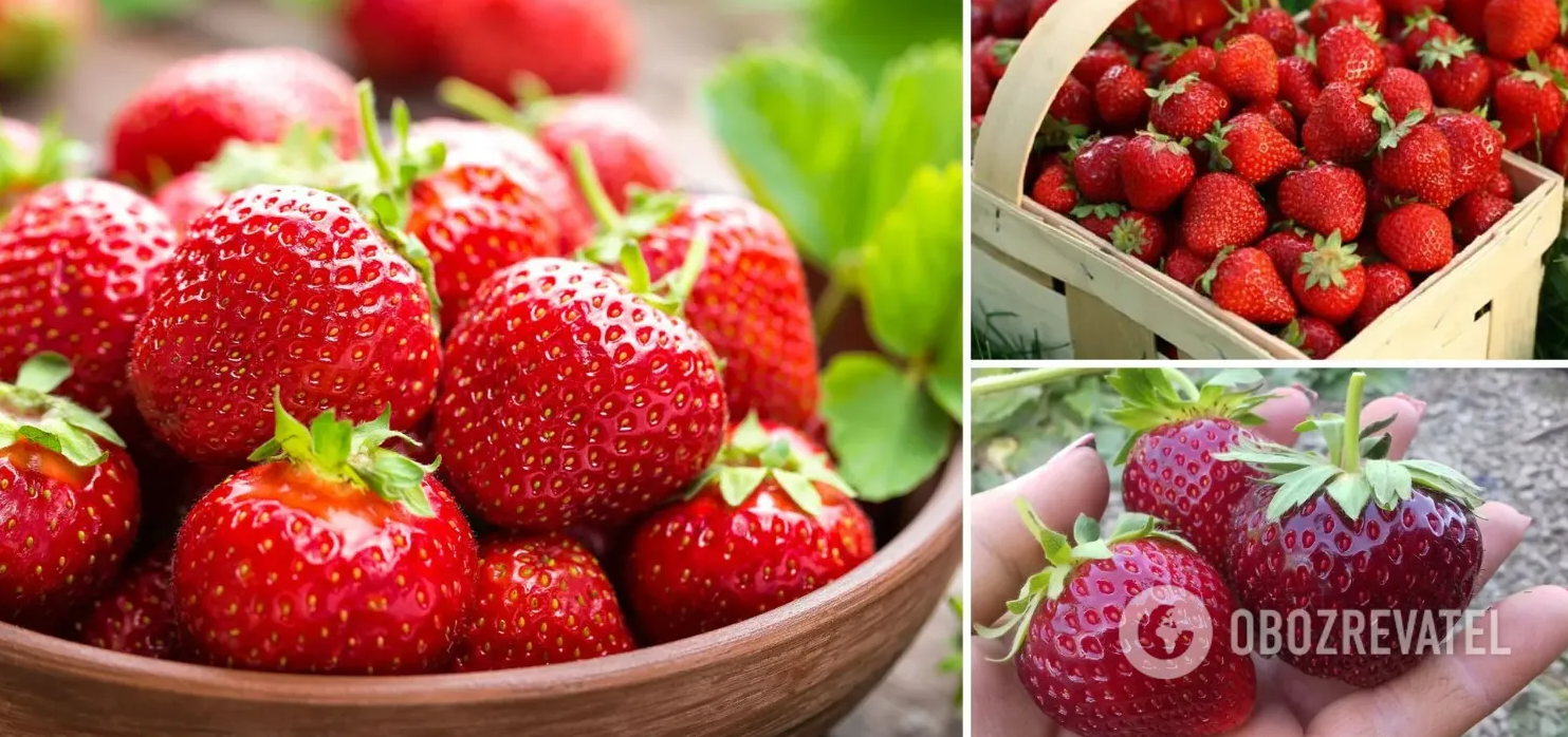 How to freeze strawberries to make them healthy