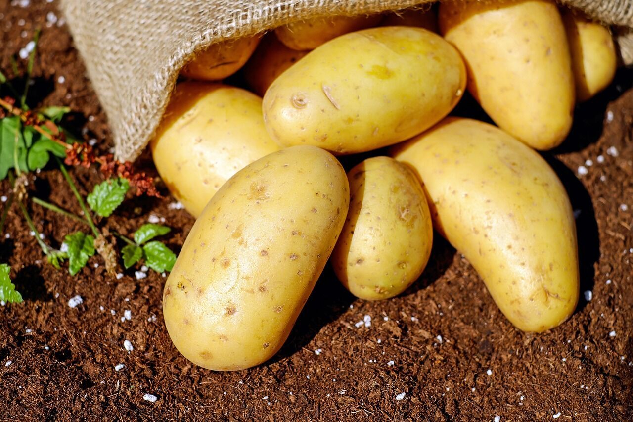 Do young potatoes need to be peeled