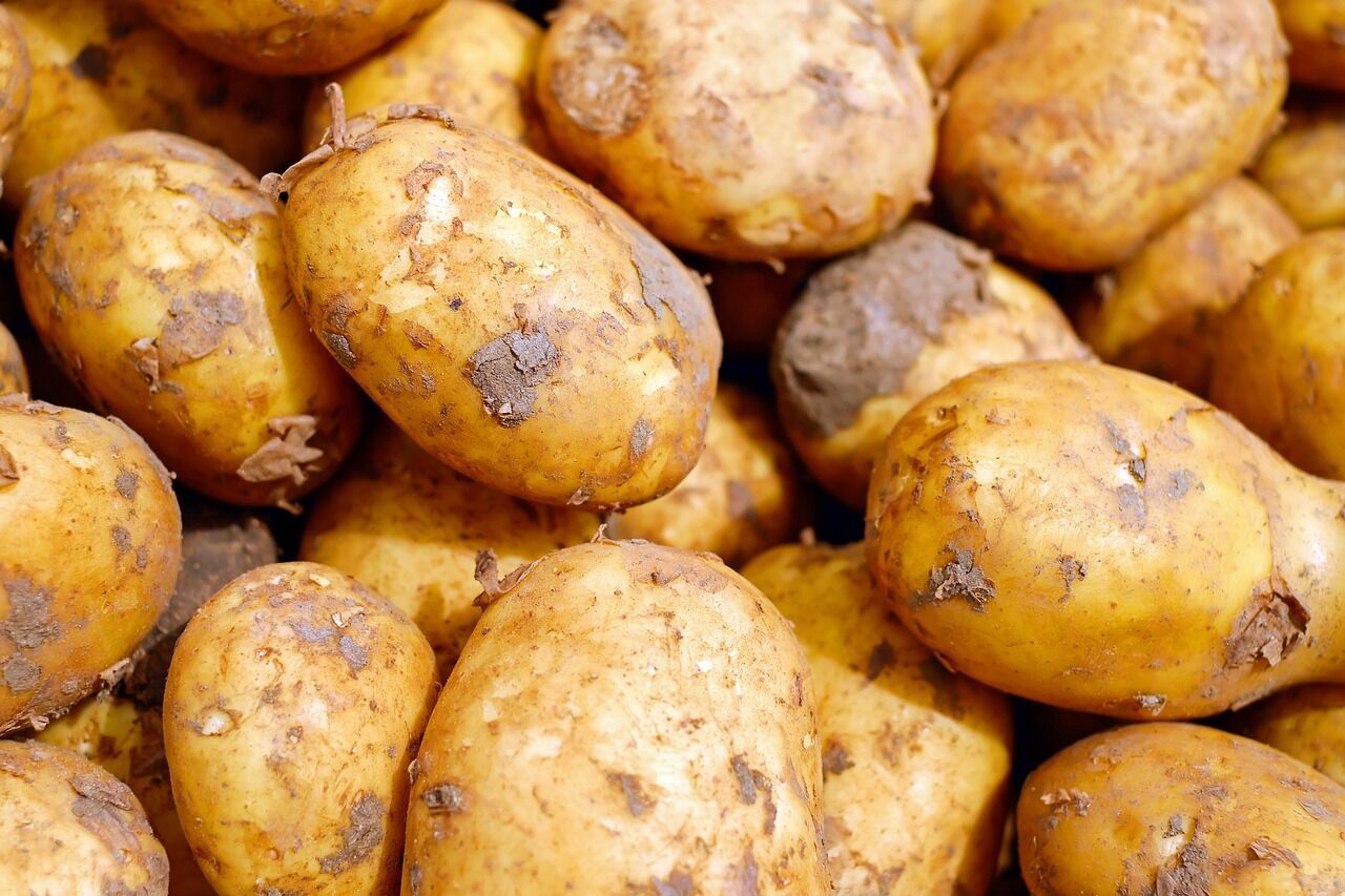 Why young potatoes should not be covered in cold water