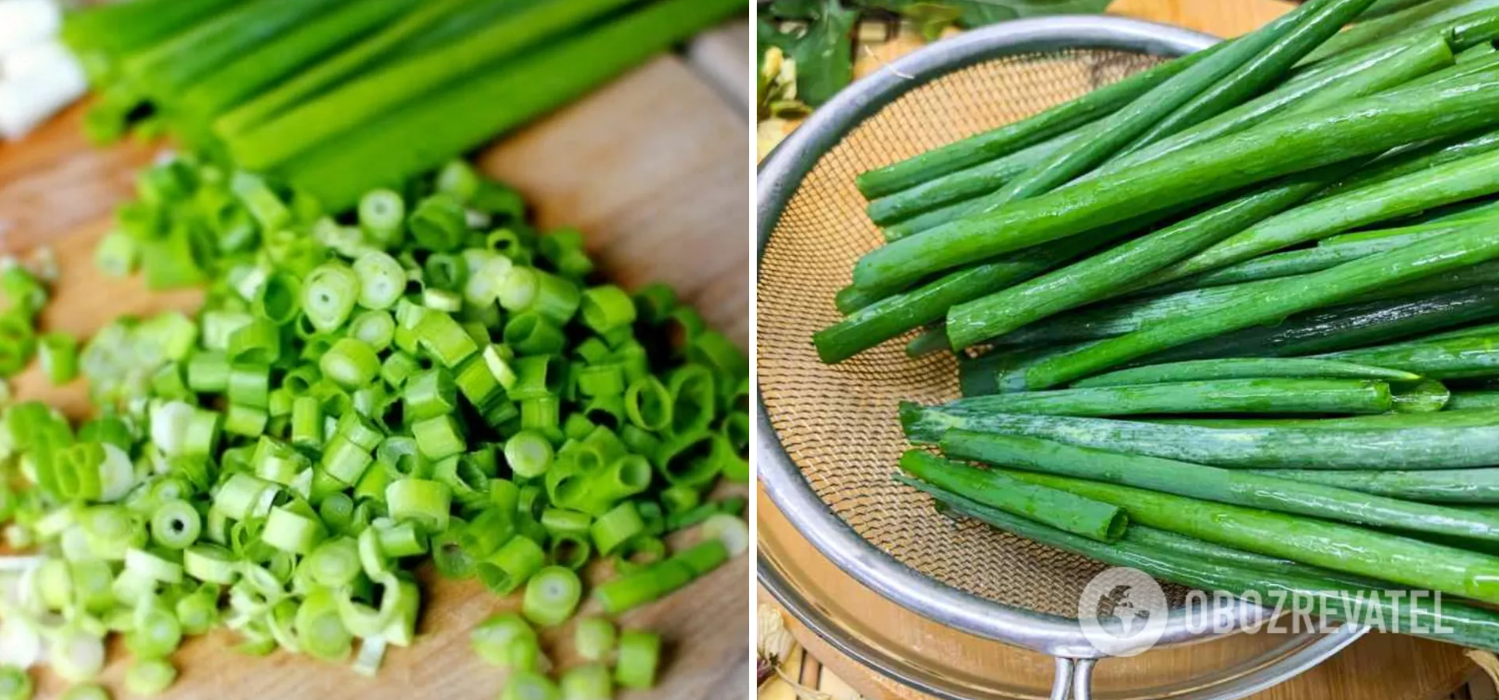 How to preserve green onions for the winter