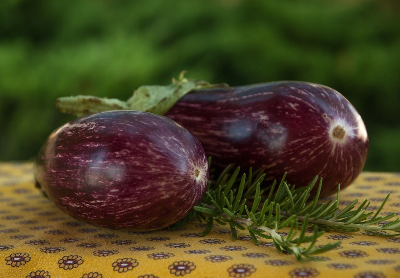 Homemade eggplants