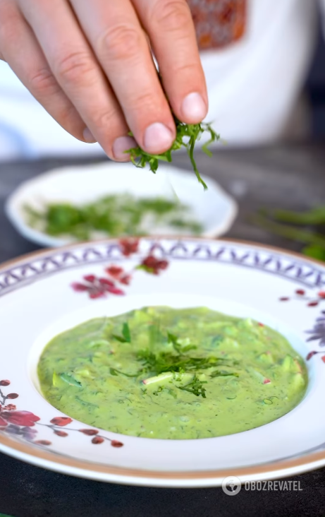 Delicious green kholodnik: chef's recipe