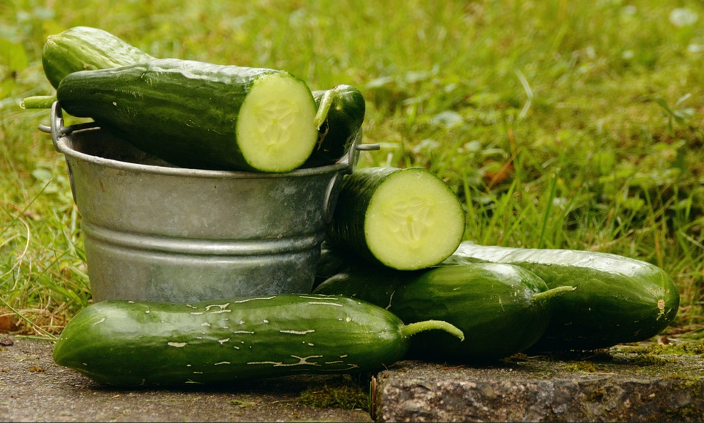 How to bring back the crunchy flavor of cucumbers: one simple lifehack