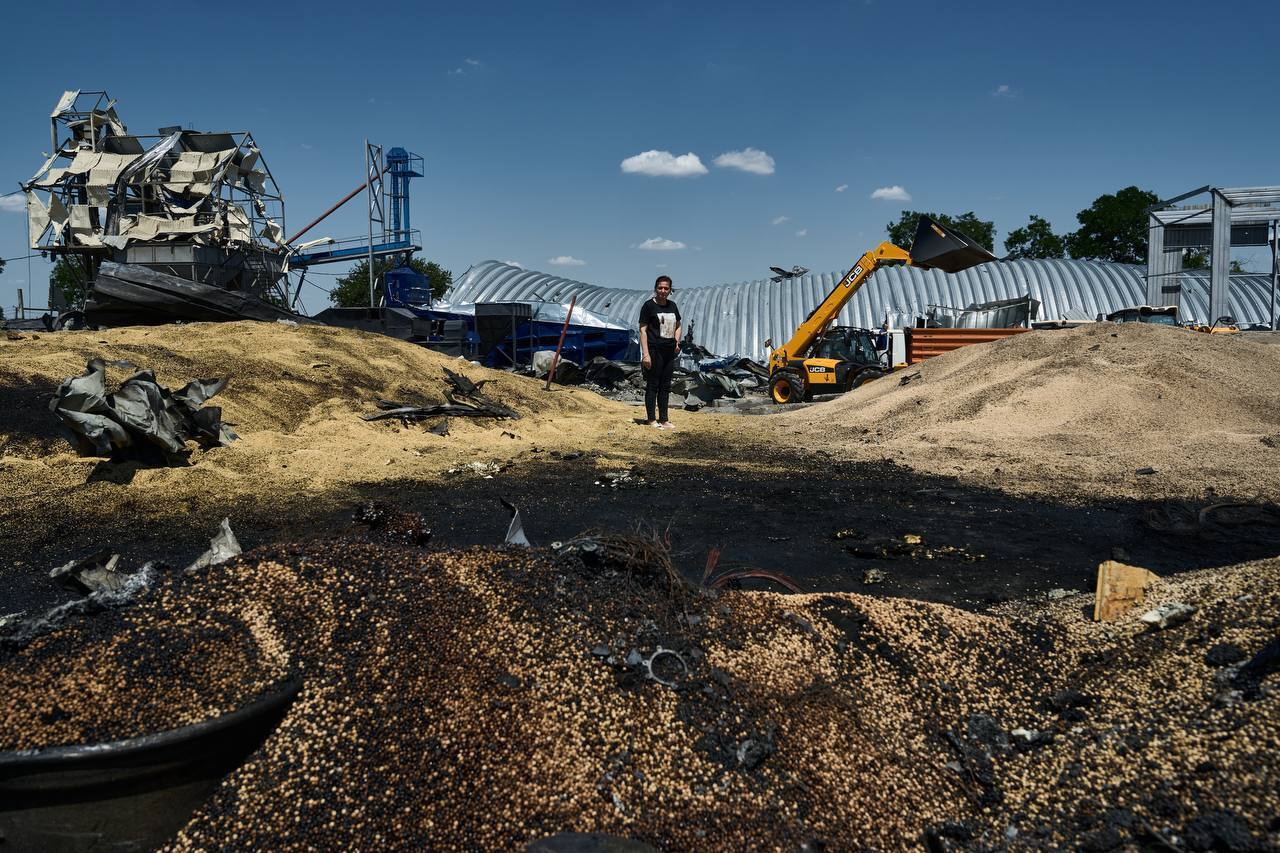 Grown under sirens, harvested under shelling: a grain harvest destroyed by Russians was shown in Odesa. Photo