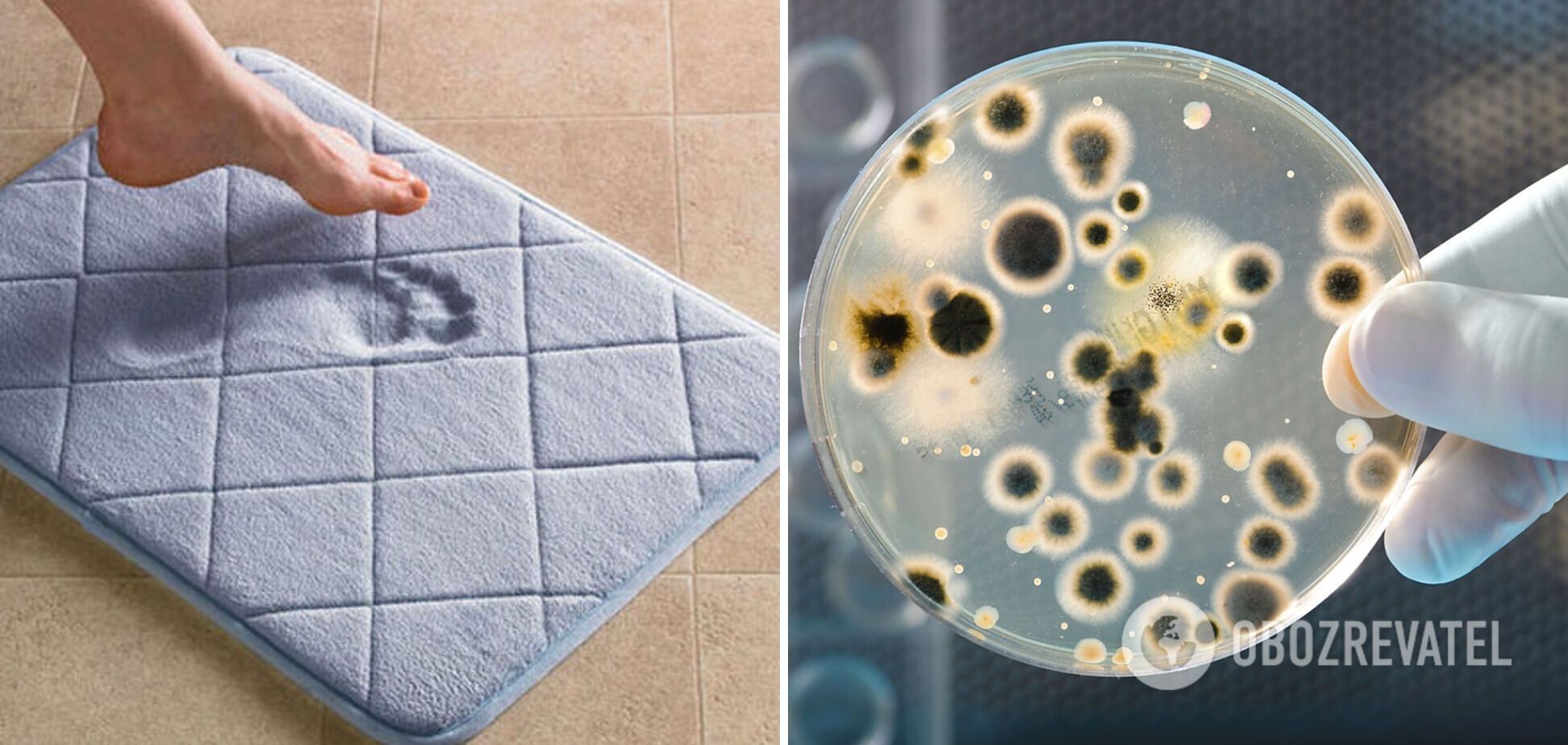 The dirtiest thing in the bathroom that everyone forgets to clean: it's a breeding ground for bacteria and mold