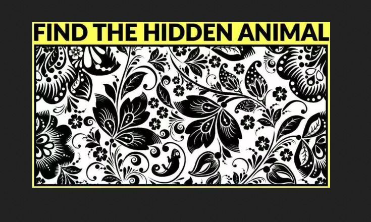 Find the hidden animal in 9 seconds: a puzzle for the smartest minds