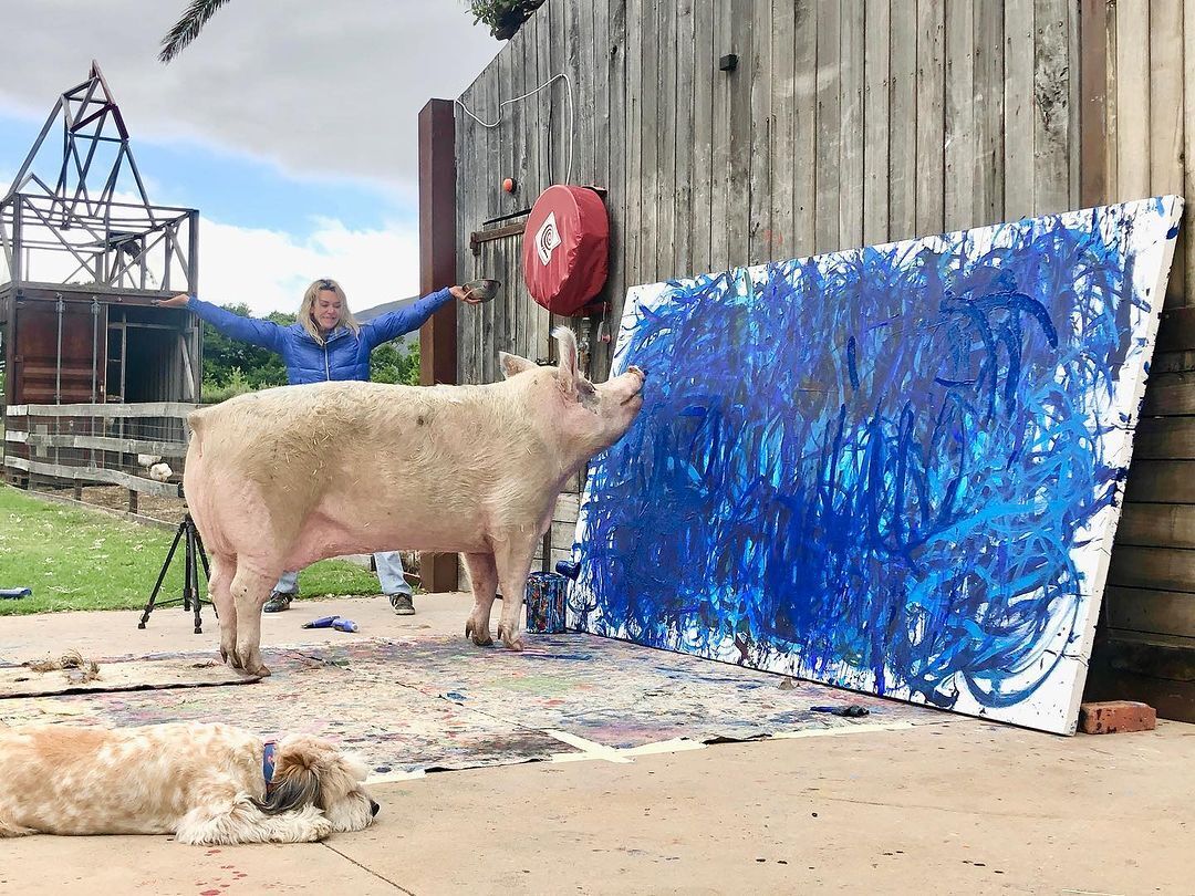 A pig named Pigcasso earned more than a million dollars by painting pictures: her works are in the collection of George Clooney