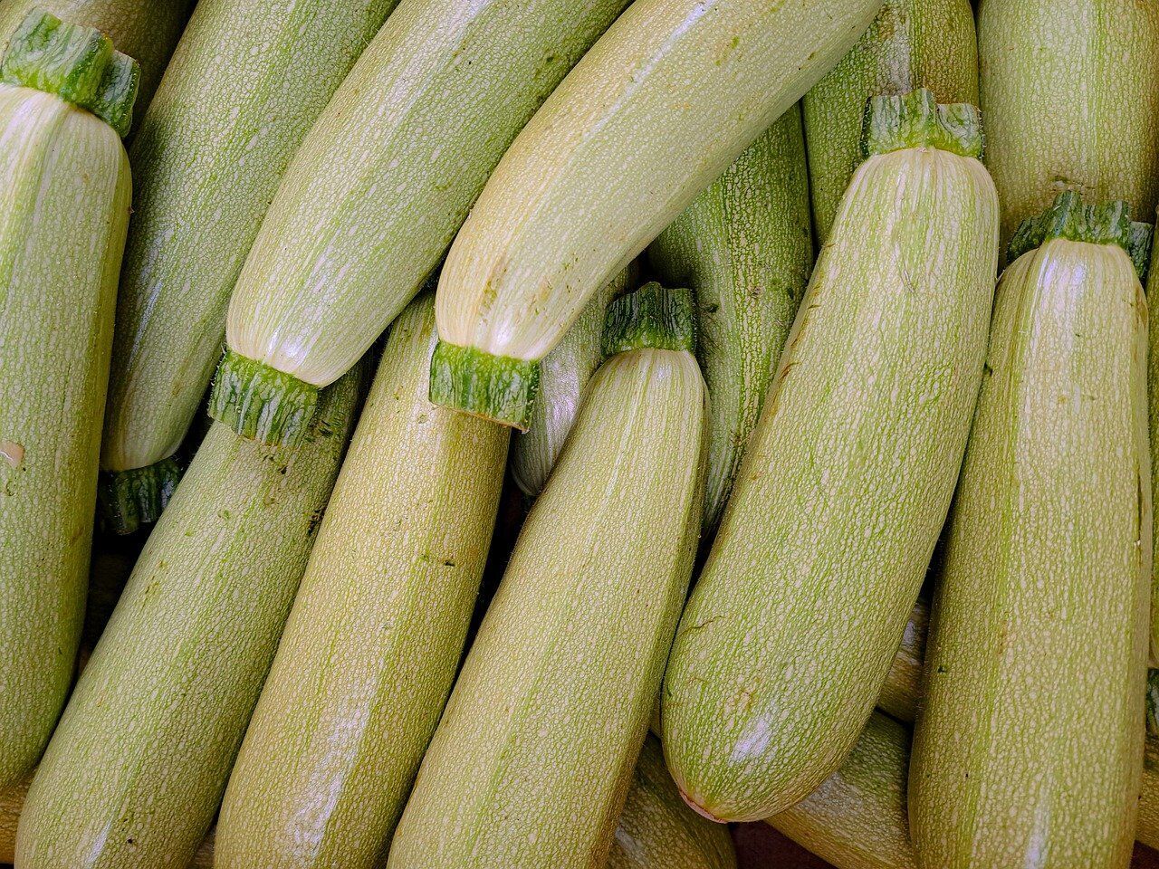 How to preserve courgettes properly