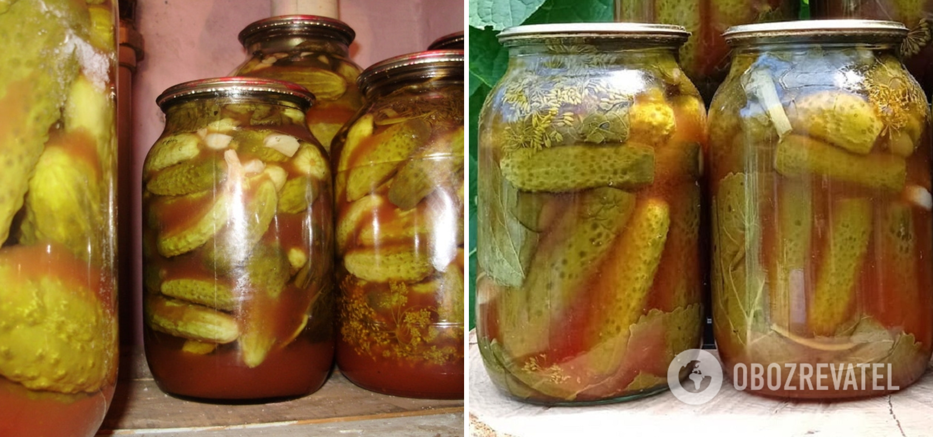 Chilli pickles for winter, which always turn out crispy
