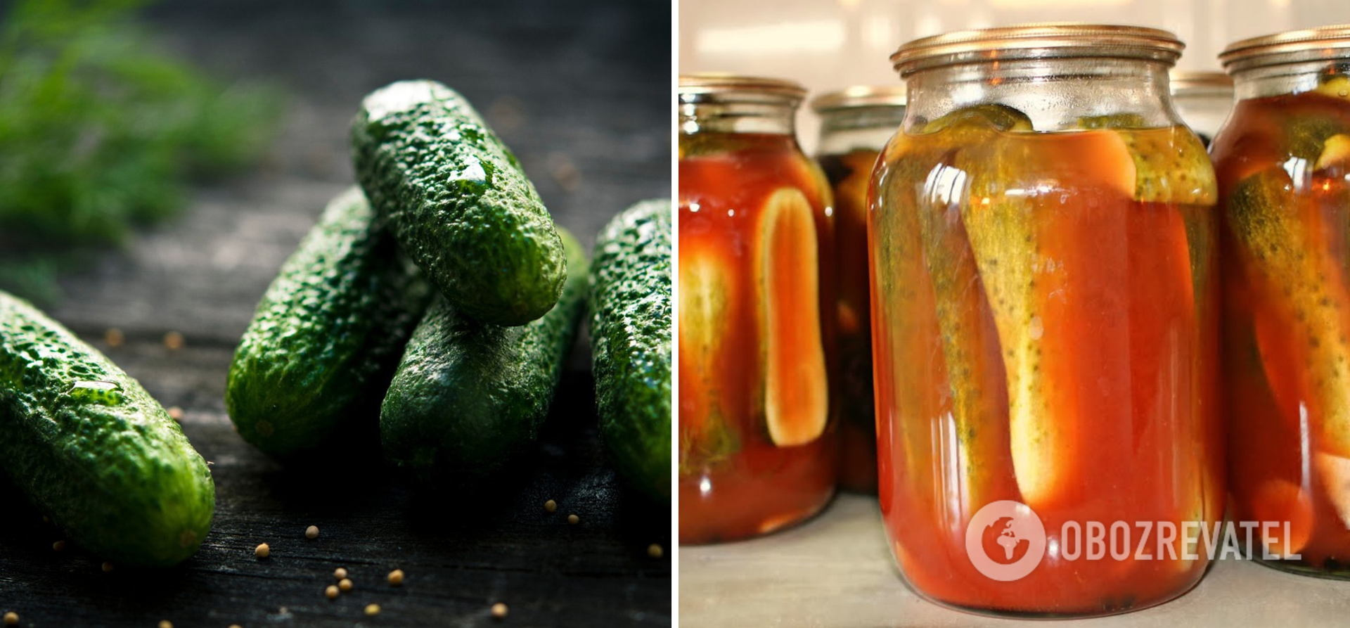 How to pickle cucumbers for winter with chilli ketchup