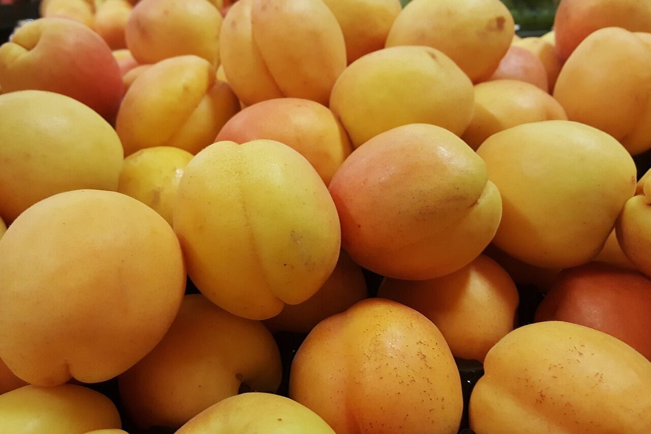 Apricots for cooking