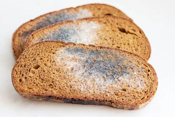 How Does Bread Get Black Mold?  Is Eating Black Bread Mold harmful?