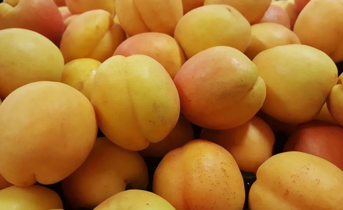 What to make with apricots
