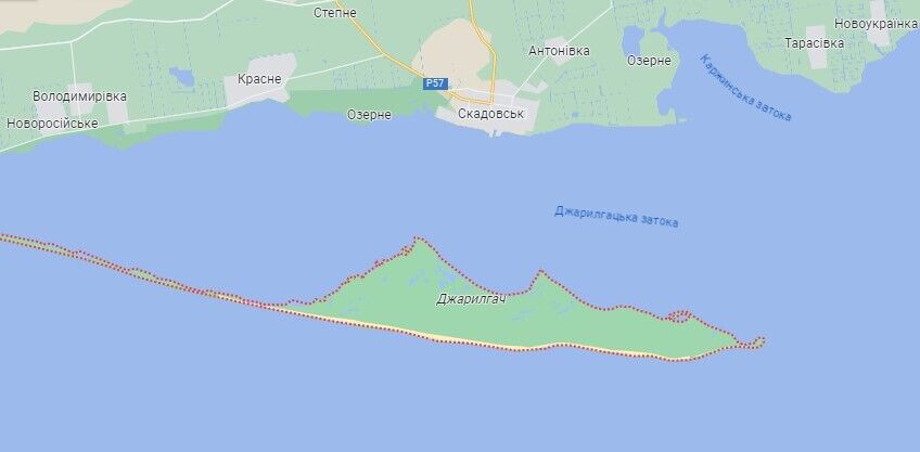 Losses worth billions of hryvnias: fire in occupied Dzharylhach destroyed a protected area