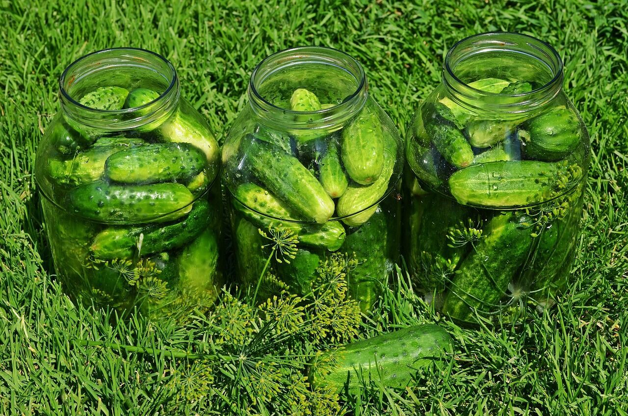What cucumbers should be used for pickling