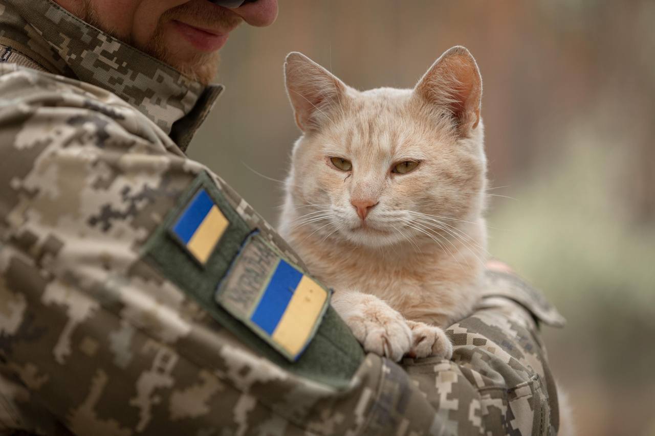 Cares about the morale of soldiers: border guards showed the cutest ''defender'' of the northern borders. Photo