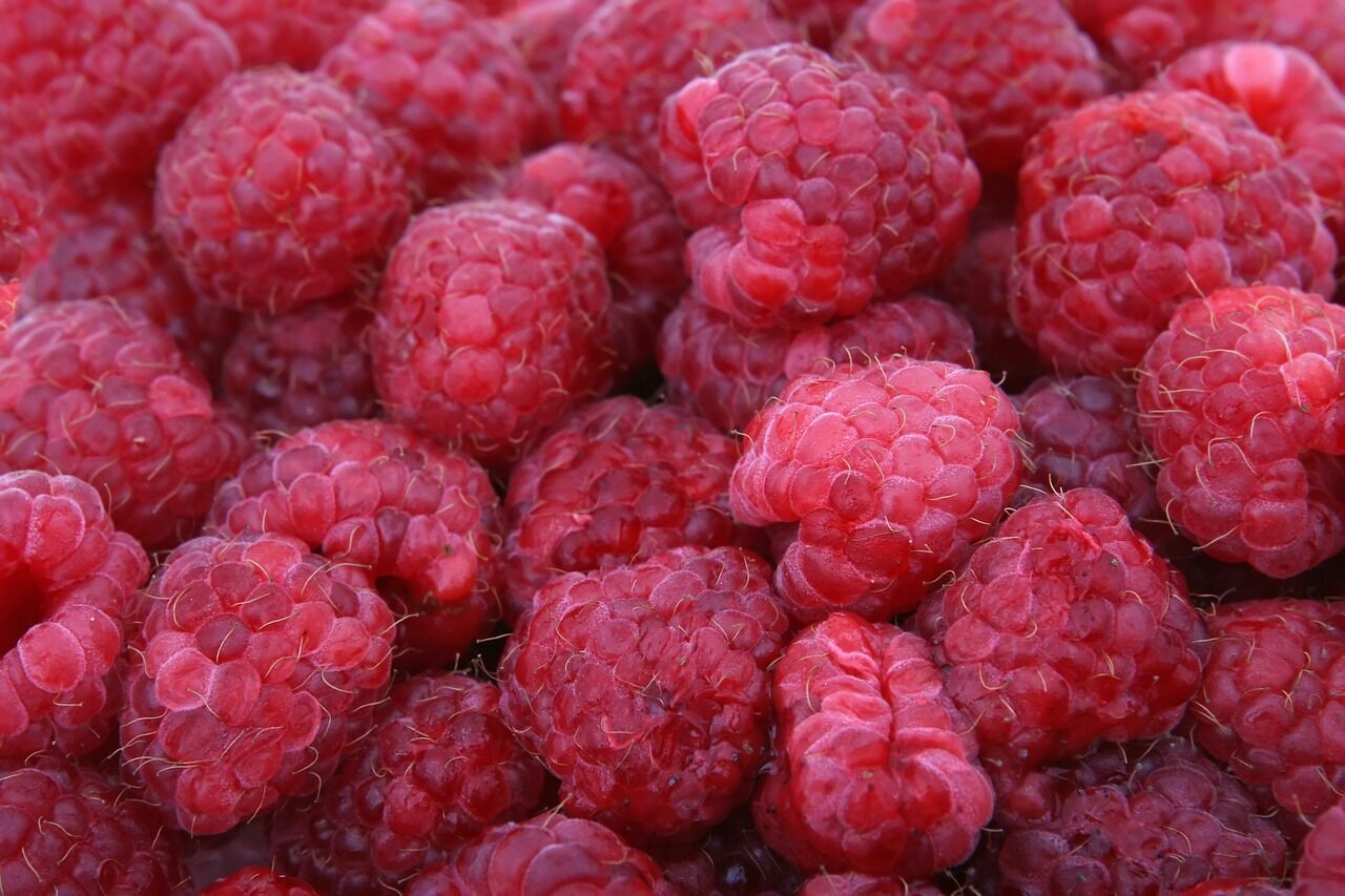 How to properly store raspberries