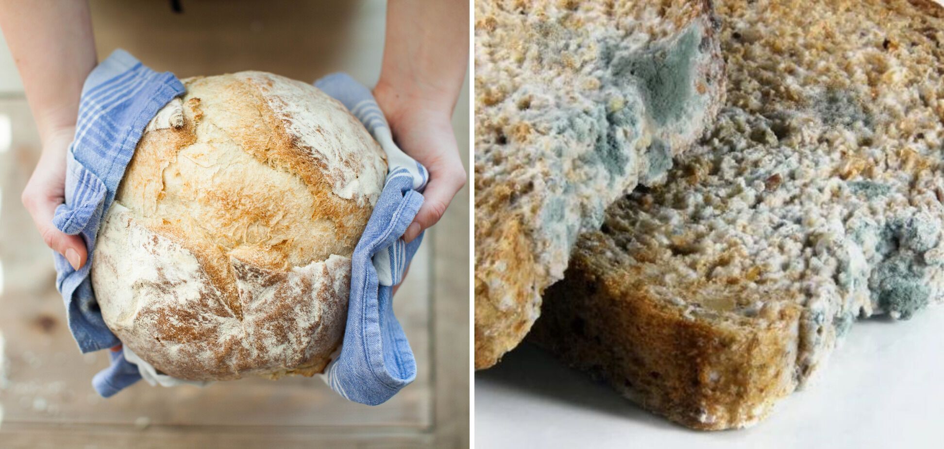 How to avoid mold on bread