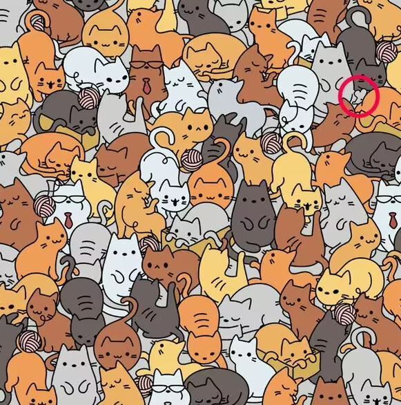 Find the tiny mouse: a puzzle for the most attentive of minds