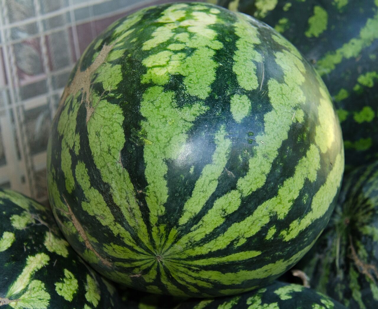 How to choose a watermelon by colour