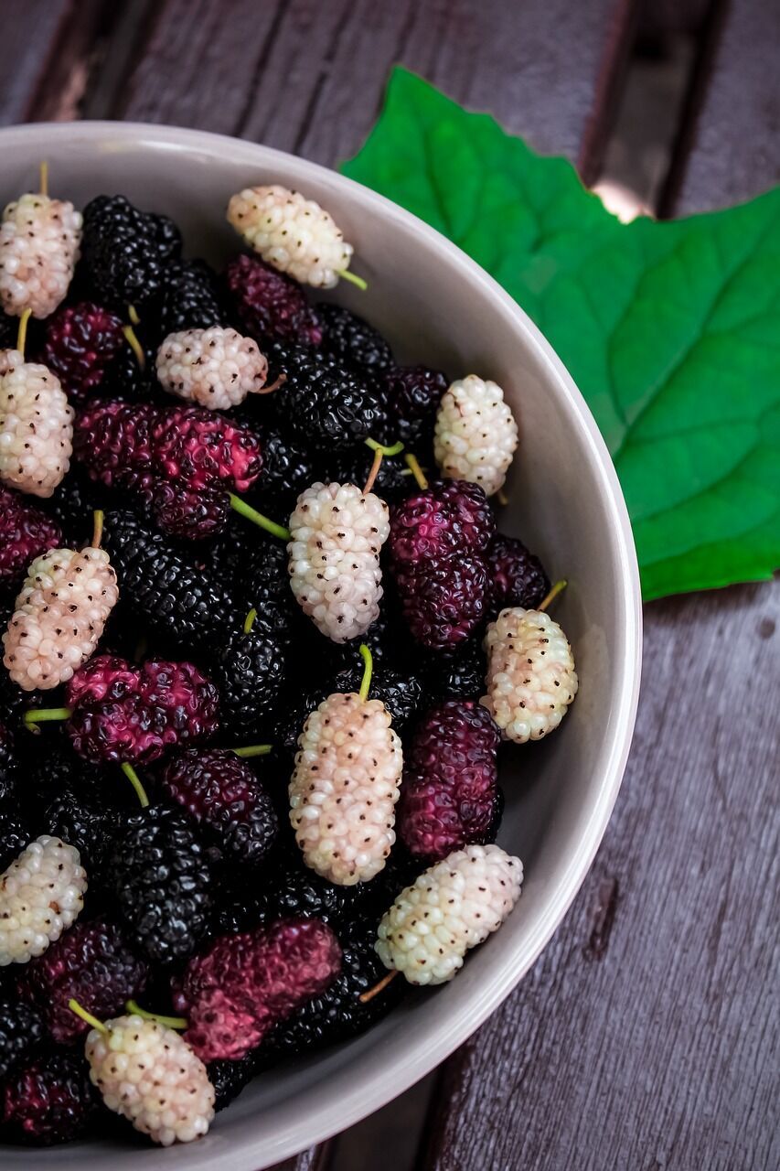 Black and white mulberries