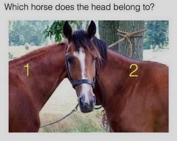 A puzzle that will break your brain: only people with high IQ will find the answers