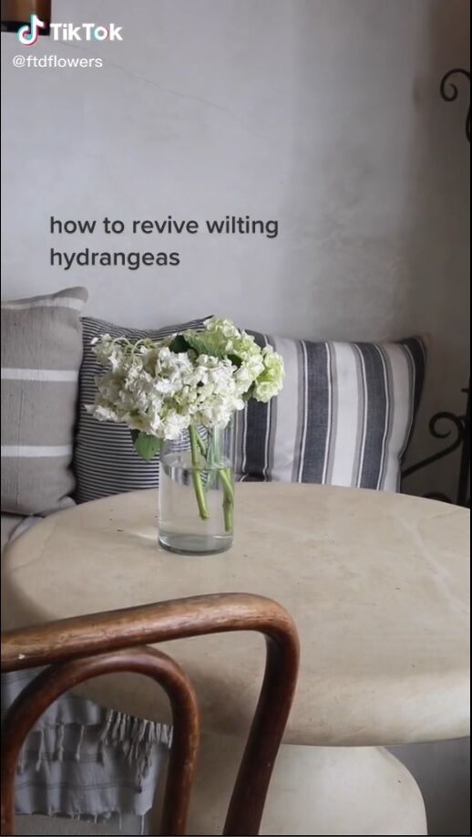 A way to restore a wilted hydrangea overnight that works instantly