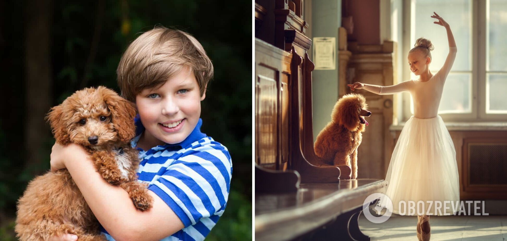 Which dog breeds are best with children: playful and affectionate