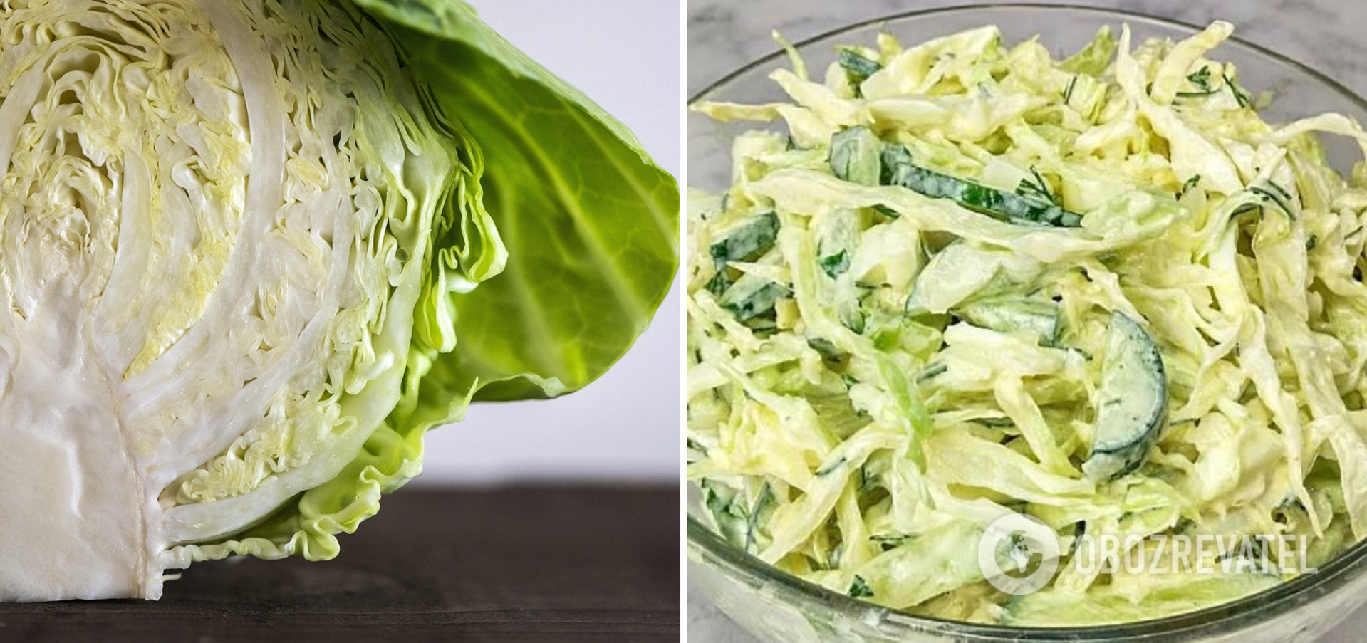 Salad with young cabbage