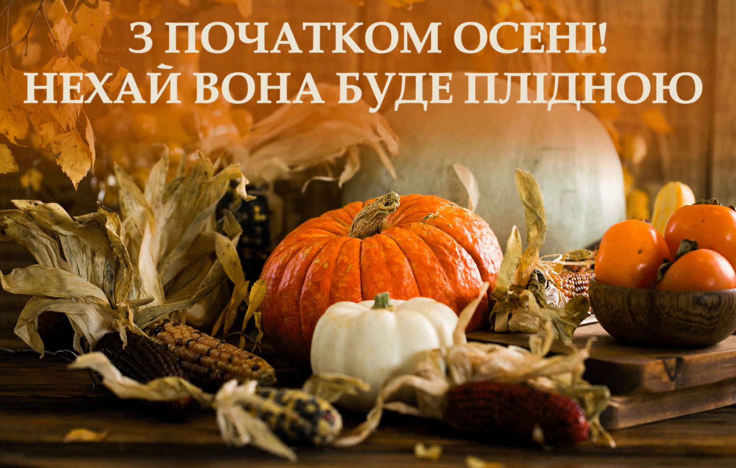 Happy first day of fall: warm greetings for loved ones. Pictures and sms