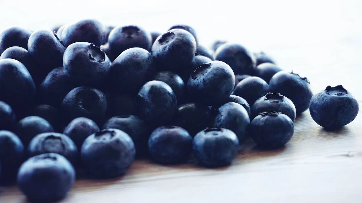 Bilberries and blueberries: the differences between the berries and why they are often confused