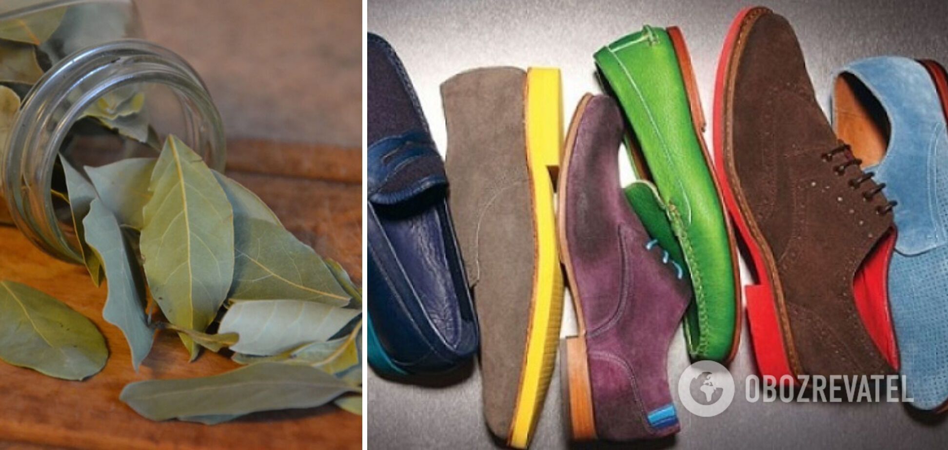 Why put bay leaves in shoes: what's the secret of the lifehack