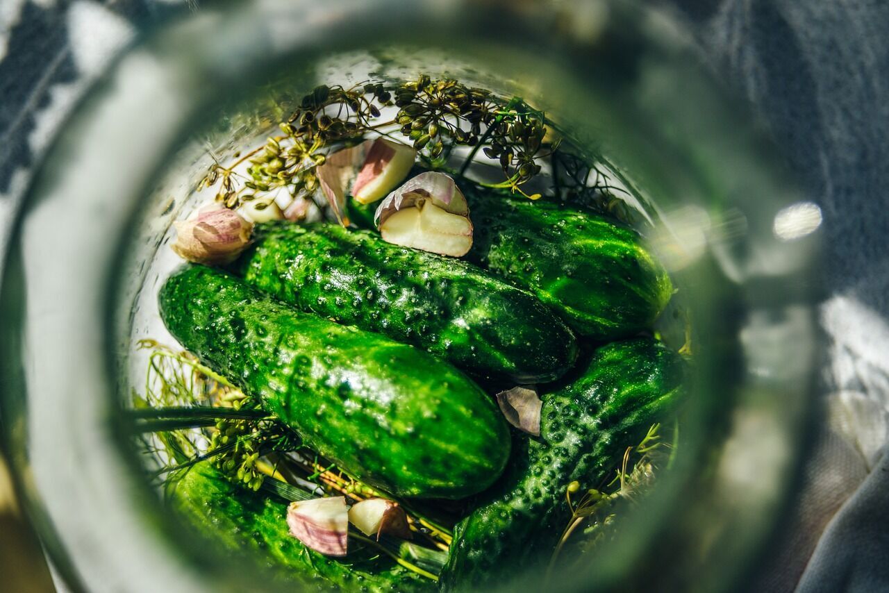 Lightly salted cucumbers with garlic and herbs
