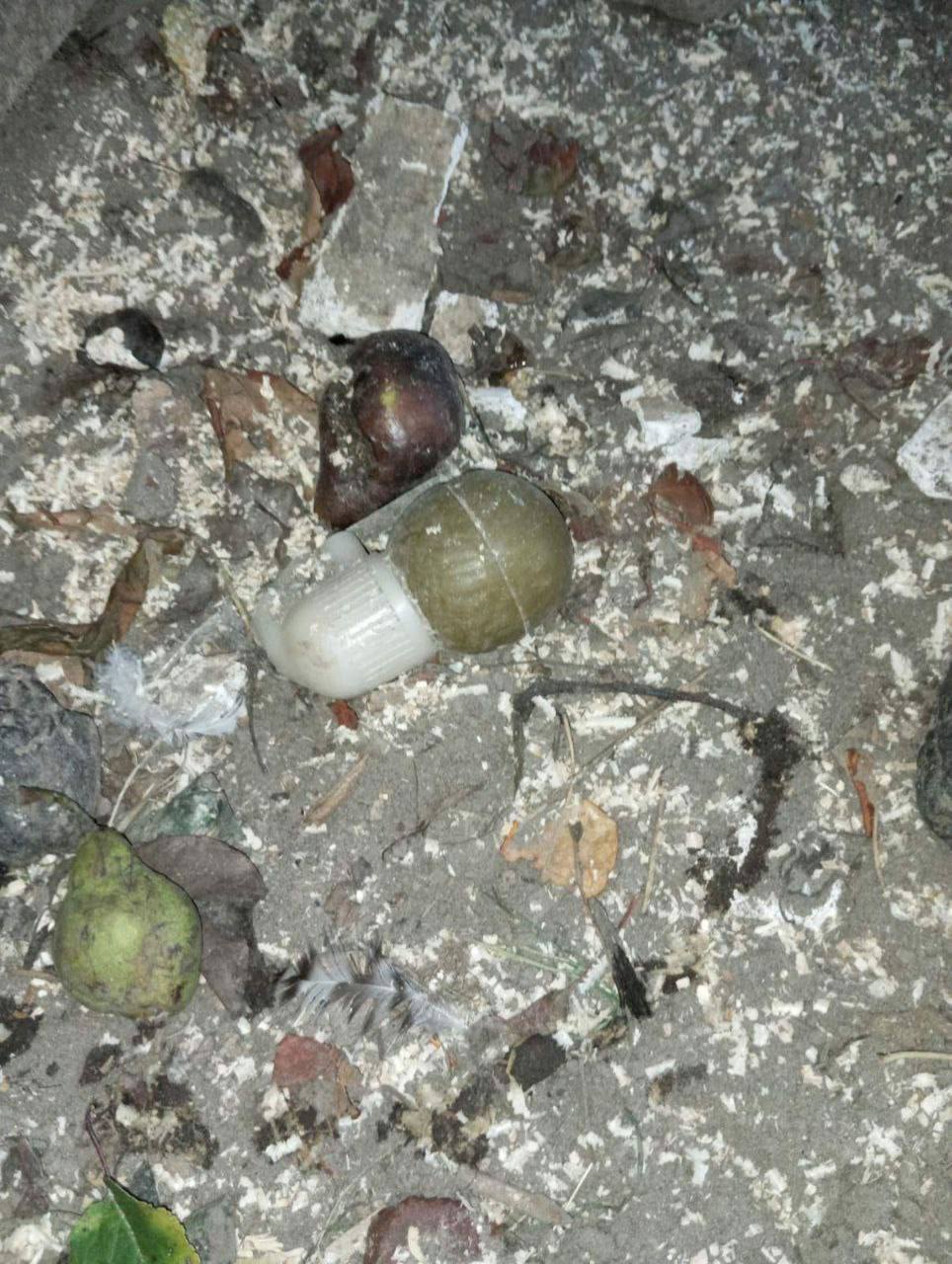A woman found a grenade in the chicken coop in the Kyiv region, it has been lying there since the occupation. Photo