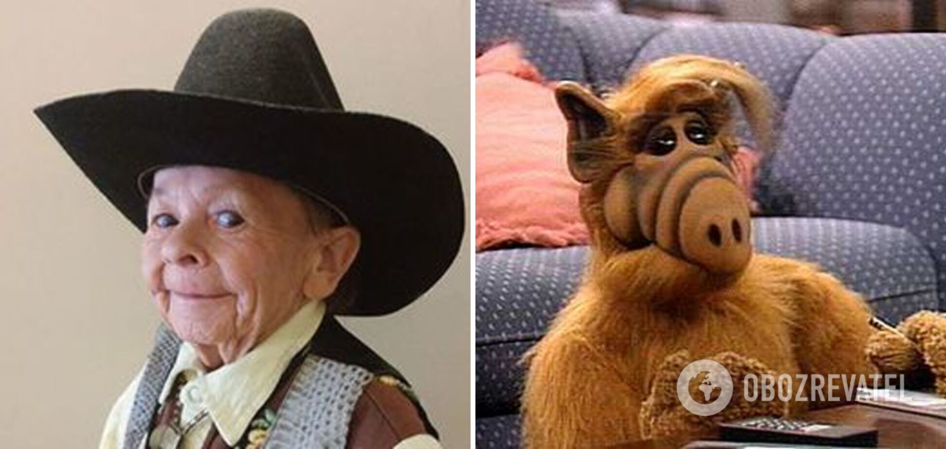 Who played the alien ''Alf'' and how the 83 cm tall actor became famous all over the world. Photo.