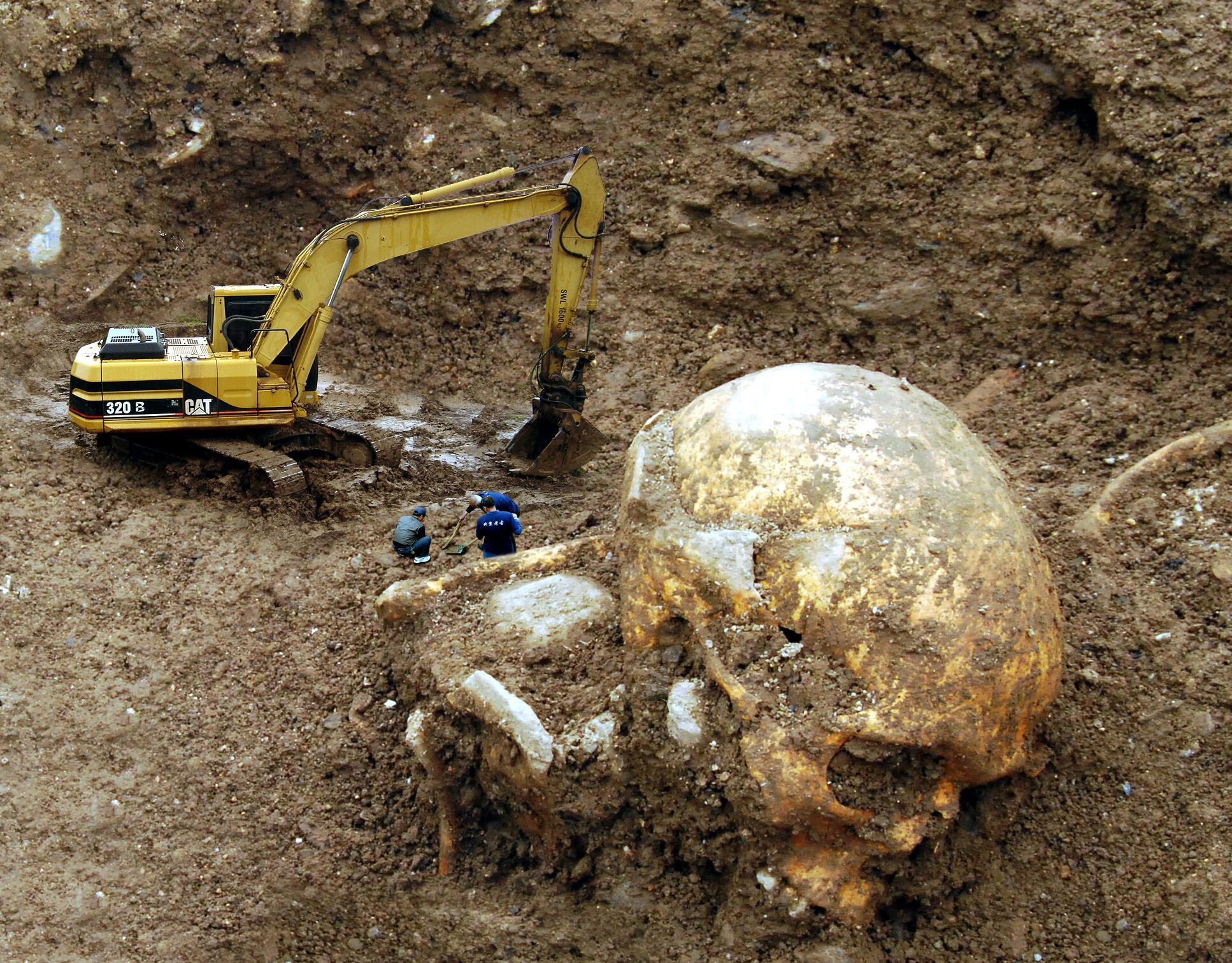 Photo of a giant skull